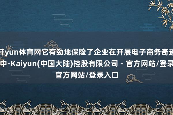 开yun体育网它有劲地保险了企业在开展电子商务奇迹过程中-Kaiyun(中国大陆)控股有限公司 - 官方网站/登录入口