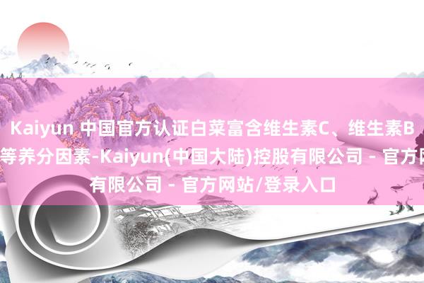 Kaiyun 中国官方认证白菜富含维生素C、维生素B族以及纤维素等养分因素-Kaiyun(中国大陆)控股有限公司 - 官方网站/登录入口