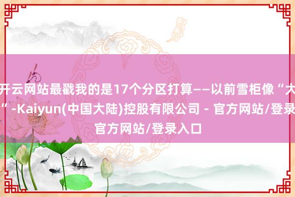 开云网站最戳我的是17个分区打算——以前雪柜像“大杂烩”-Kaiyun(中国大陆)控股有限公司 - 官方网站/登录入口
